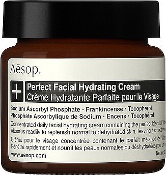 Perfect Facial Hydrating Cream in Beauty: NA