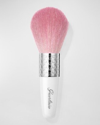 Meteorites Powder Brush