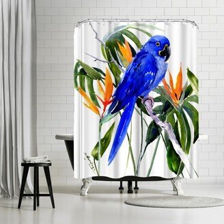 71 x 74 Shower Curtain, Hyacinth Macaw by Suren Nersisyan