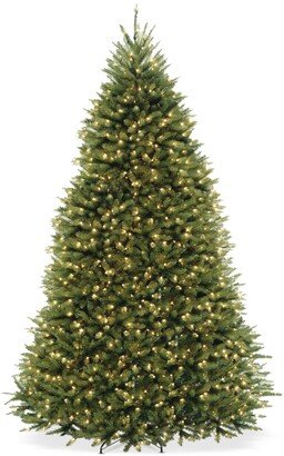 National Tree Company 9' Dunhill Fir Full-Bodied & Hinged Tree With 900 Clear Lights