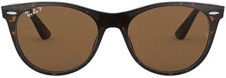 Wayfarer II Classic Polarised Sunglasses