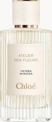 Atelier des Fleurs Herba Mimosa