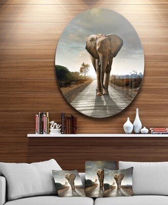 Designart 'Single Walking Elephant' Disc Photography Circle Metal Wall Art - 23 x 23