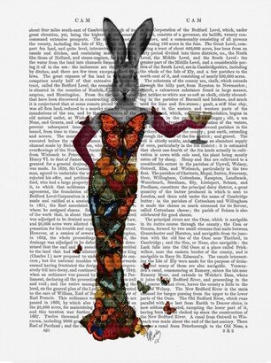 Fab Funky Rabbit Butterfly Dress Canvas Art - 36.5