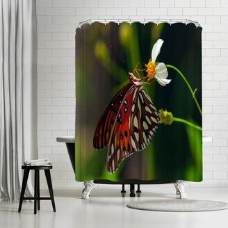 71 x 74 Shower Curtain, Lovely Butterfly by Melanie Viola