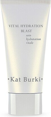 Renewal Vital Hydration Blast Face Mask