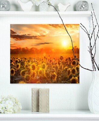 Designart 'Yellow Sunset Over Sunflowers' Floral Photography Metal Wall Art - 20 X 12