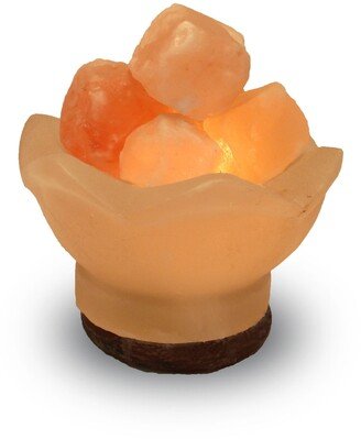 The House of Awareness Zig Zag Abundance Bowl Himalayan Salt Lamp - Orange