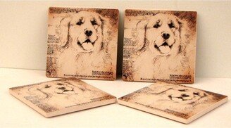 Golden Lab Coasters Set of 4 - Cream - 4 W x 4 L x 1/4 D