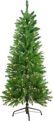 Northlight 4.5' Pre-Lit White River Fir Artificial Pencil Christmas Tree - Clear Lights