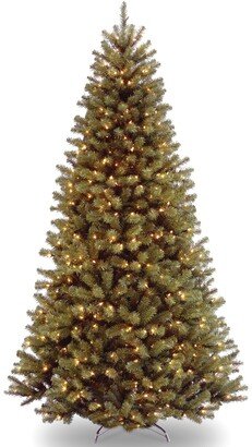 National Tree Company National Tree 7' North Valley Spruce Hinged Tree with 700 Clear Lights