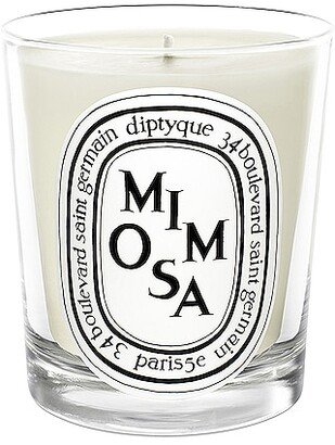 Mimosa Scented Candle