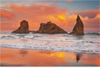 Darren White Photography Bandon Magic Canvas Art - 27 x 33.5