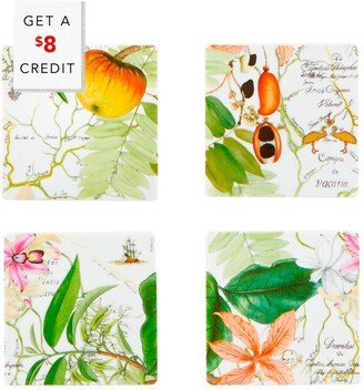 Amazonia Coasters (Set Of 4) With $8 Credit