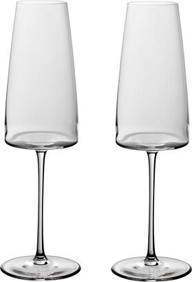 Metro Chic Champagne Flute Set, 2 Piece