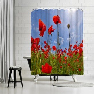 71 x 74 Shower Curtain, Field Of Poppies by Melanie Viola