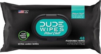 Dude Wipes Mint Chill Flushable Personal Wipes - Eucalyptus Scent - 48ct