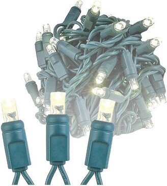 Novelty Lights Inc Novelty Lights Warm White LED Christmas String Lights 50 Mini Bulbs (Green Wire, 25 Feet)