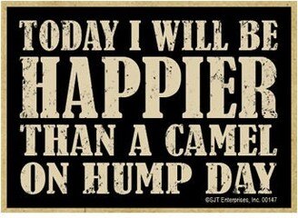 Today I Will Be Happier Than A Camel On Hump Day Funny Wood Magnet Fridge Kitchen Any Metal Surface Made in USA Free Shipping New R