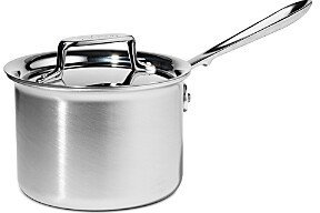 Stainless Steel 2 Quart Sauce Pan with Lid