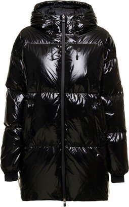 Laminar Glazed Ripstop Down Jacket-AA