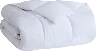 Sleep Philosophy Heavy Warmth Goose Feather & Goose Down Filling Comforter,, Twin/Twin Xl