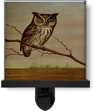 Vintage Style Screech Owl Bird Animal Nature Wild Life Glass Photo Night Light, Decorative Lights