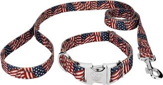 Country Brook Petz Premium Patriotic Tribute Collar and Leash (1 Inch, Large)