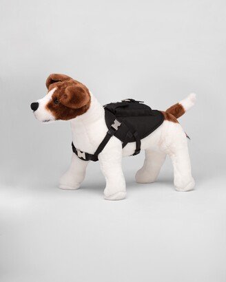 Nylon Dog Harness