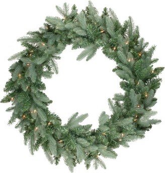 Northlight Real Touch™️ Pre-Lit Washington Frasier Fir Artificial Christmas Wreath - 48 - Clear Lights