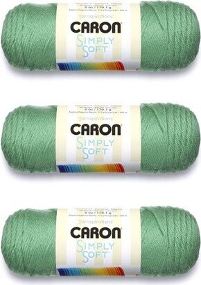 Simply Soft Sage Yarn - 3 Pack of 170g/6oz - Acrylic - 4 Medium (Worsted) - 315 Yards - Knitting/Crochet