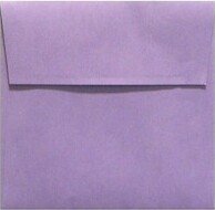 7 x 7 Square Envelopes 50/Box Wisteria 8545-106-50)