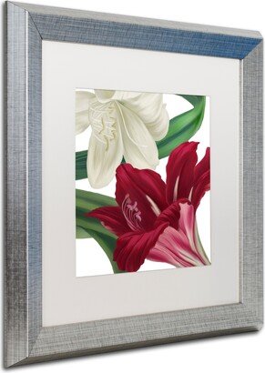 Color Bakery 'Christmas Amaryllis Ii' Matted Framed Art, 16