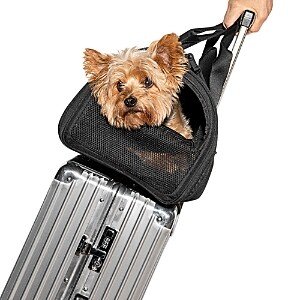 Travel Pet Carrier