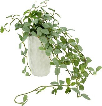 Creative Displays Green Ivy Arrangement In Tall Ceramic Vase