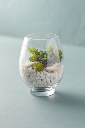 Rounded Vase Terrarium