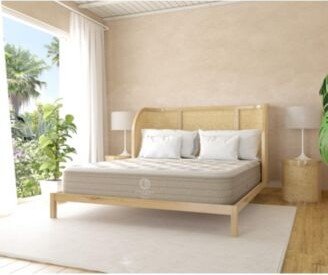 Clean Design Home Essex 13 Plush Mattress Collection