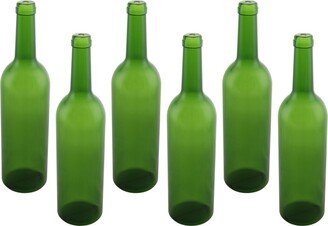 Three Star Plastic Wine Bottles 6 Piece Set