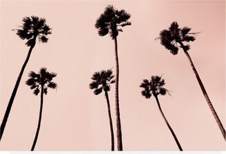 Erik Asl Palm Trees 1997 Copper Canvas Art - 36.5 x 48