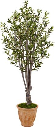 5' Olive Artificial Tree in Terracotta Planter