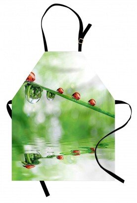 Ladybugs Apron