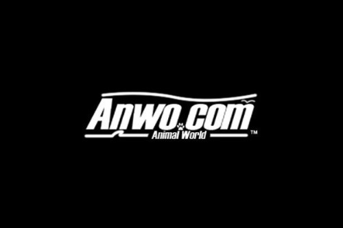 Anwo Promo Codes & Coupons