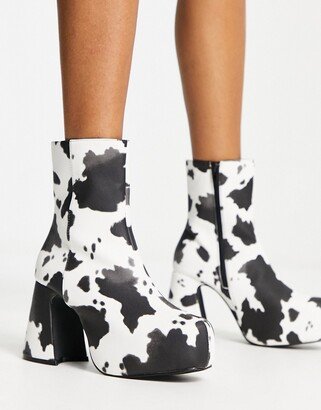 Heartbreak platform heeled ankle boots in cow print