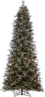 9' x 50 Frosted Douglas Fir Artificial Pre-Lit Christmas Tree, Warm White LED Mini Lights. In a 28Lx28Wx5H base.