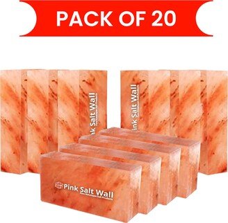 Himalayan Pink Salt Bricks Pack Of 20