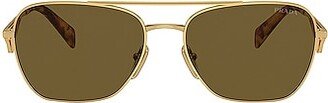 Aviator Sunglasses in Metallic Gold