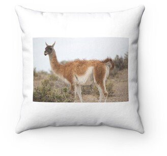 Guanaco Munching Pillow - Throw Custom Cover Gift Idea Room Decor