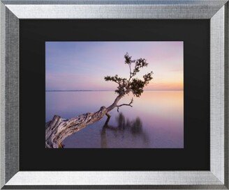 Moises Levy Water Tree Xv Matted Framed Art - 20 x 25