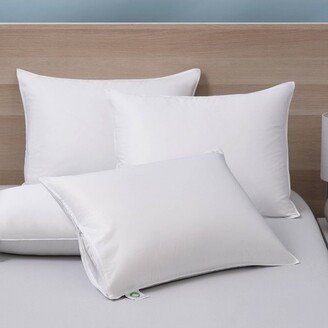 4pk Hypoallergenic Allergen Barrier Pillow Protector