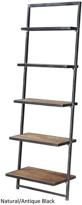 Carbon Loft McAllen 5 Tier Ladder Bookshelf